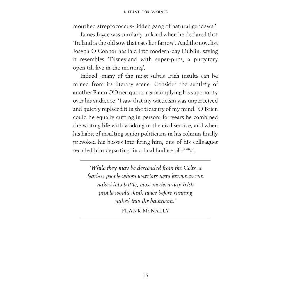 Wicked Wit Of Ireland (Paperback)