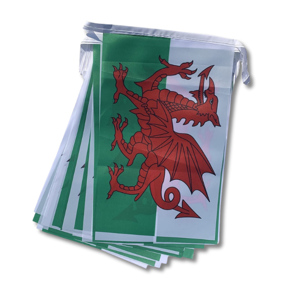 Wales St. David's Day Bunting (10M)