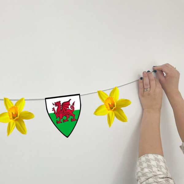 St. David's Day Wales and Daffodil Bunting Party Decorations