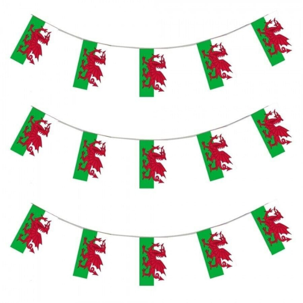 Wales St. David's Day Bunting 10M