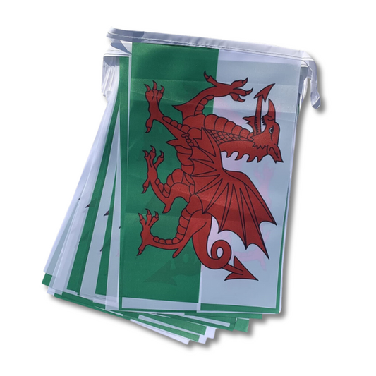 Wales St. David's Day Bunting 10M