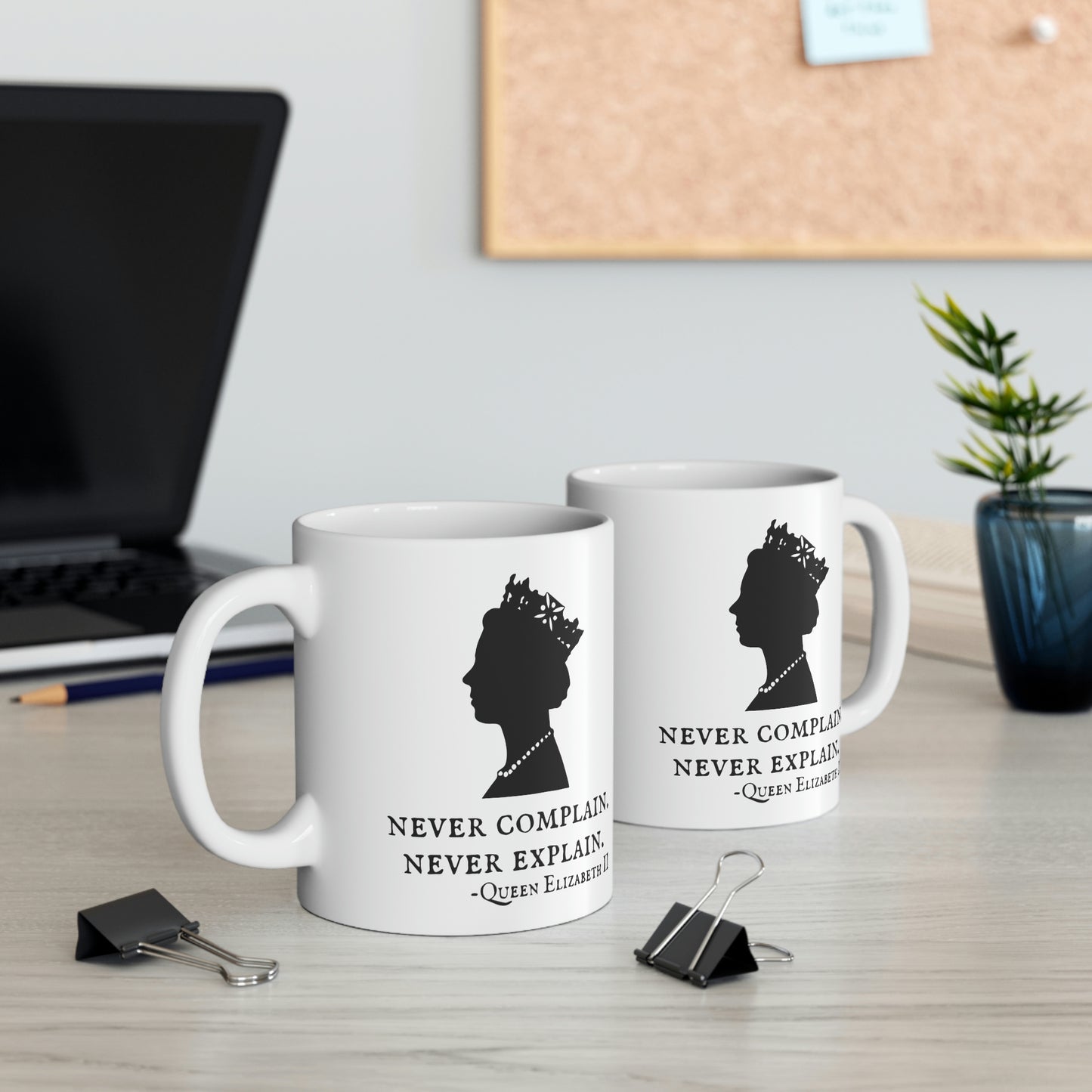 Never Complain, Never Explain Mug